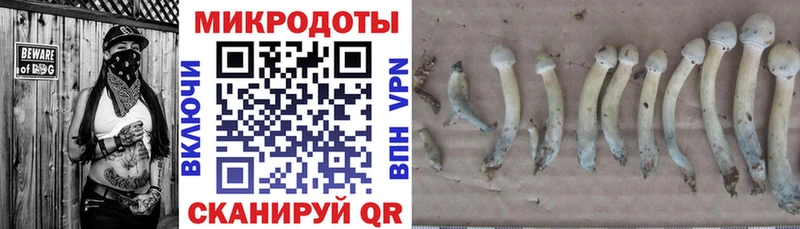 Галлюциногенные грибы GOLDEN TEACHER Раменское