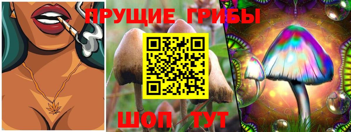 Галлюциногенные грибы MAGIC MUSHROOMS  Раменское 
